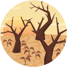 illustratie van droge grond en verdorde bomen als gevolg van hitte en droogte