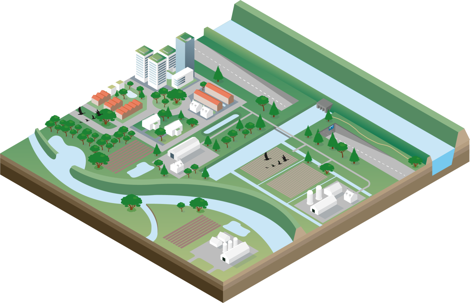 Illustratie van een woonwijk en omgeving met maatregelen tegen hitte en droogte zoals groen dak en wateropvang