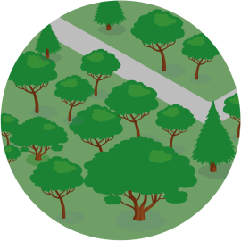 Illustratie van een bos