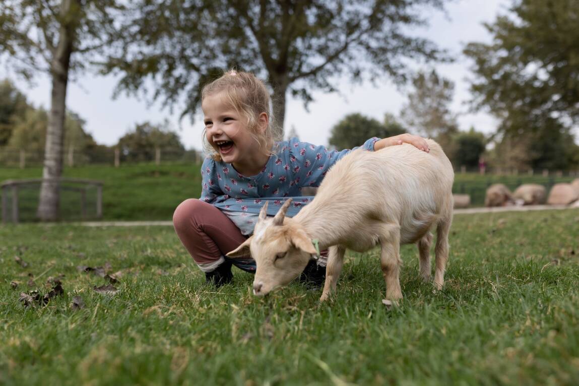 Foto van een klein meisje met een geit op de activiteitenmiddag.