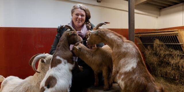 Foto van een klein meisje met een geit op de activiteitenmiddag.