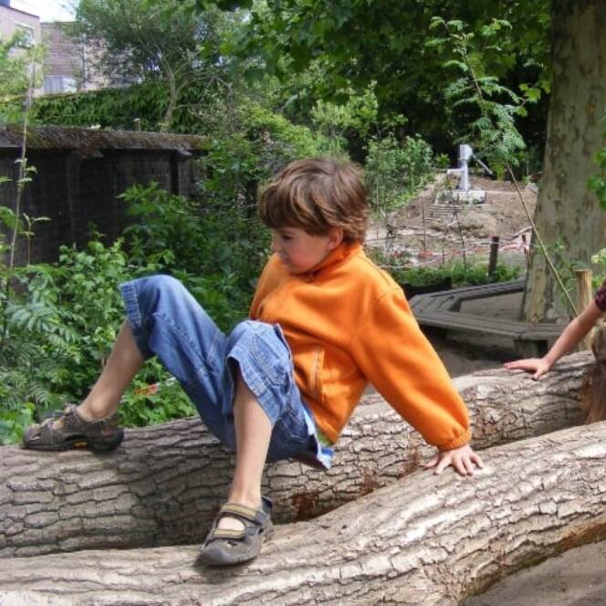 Hier speelt een jongen op een boomstam.