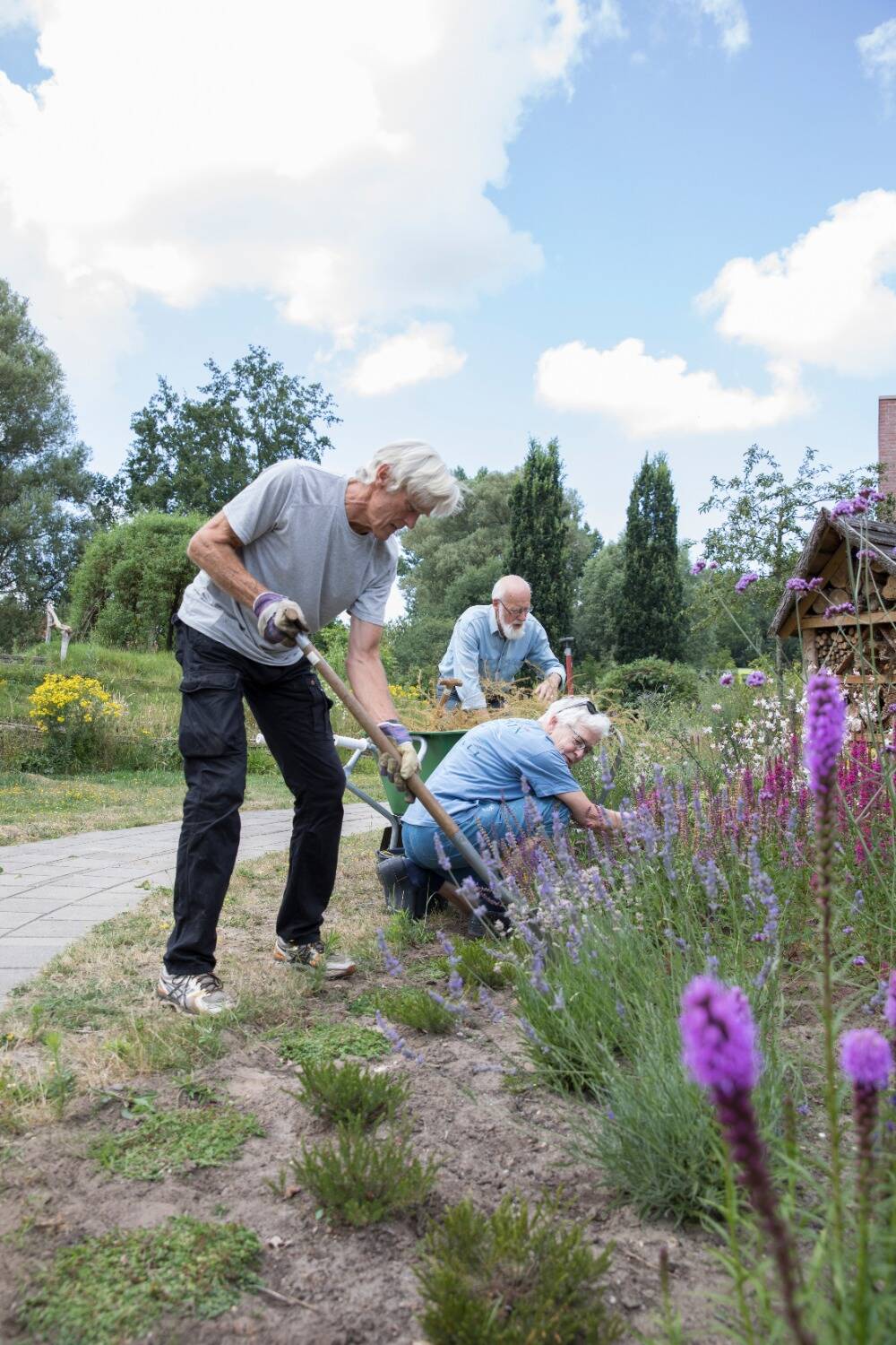 Op de foto zie je 3 vrijwilligers die de Beweegtuin bij revalidatiekliniek De Vogellanden in Zwolle onderhouden.