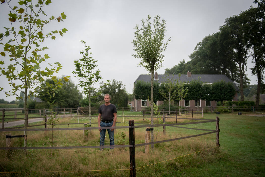 Op de foto staat Bas van der Bruggen in een weiland bij een paar geplante bomen.