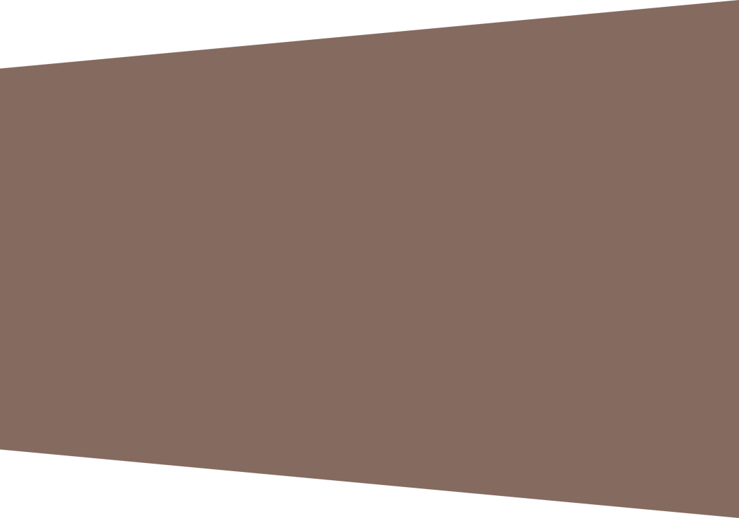 tekstvlak_grijs-bruin.png