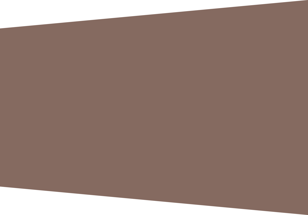 tekstvlak_grijs-bruin.png