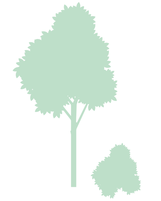 tree2.png