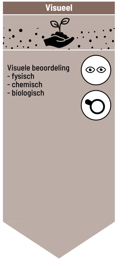 infographic_blok-1.png (copy3)