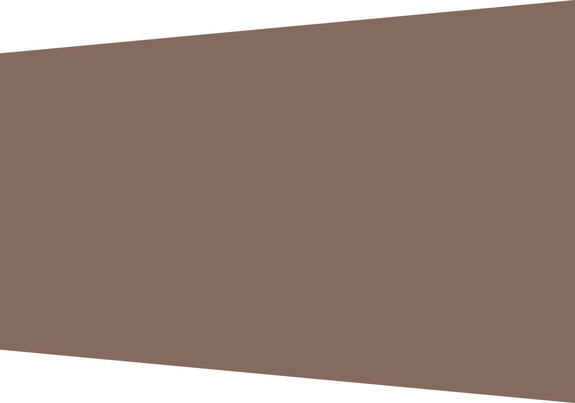 tekstvlak_grijs-bruin.png