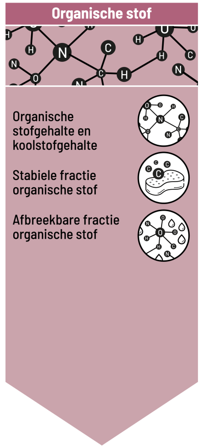 infographic_blok-1_.png