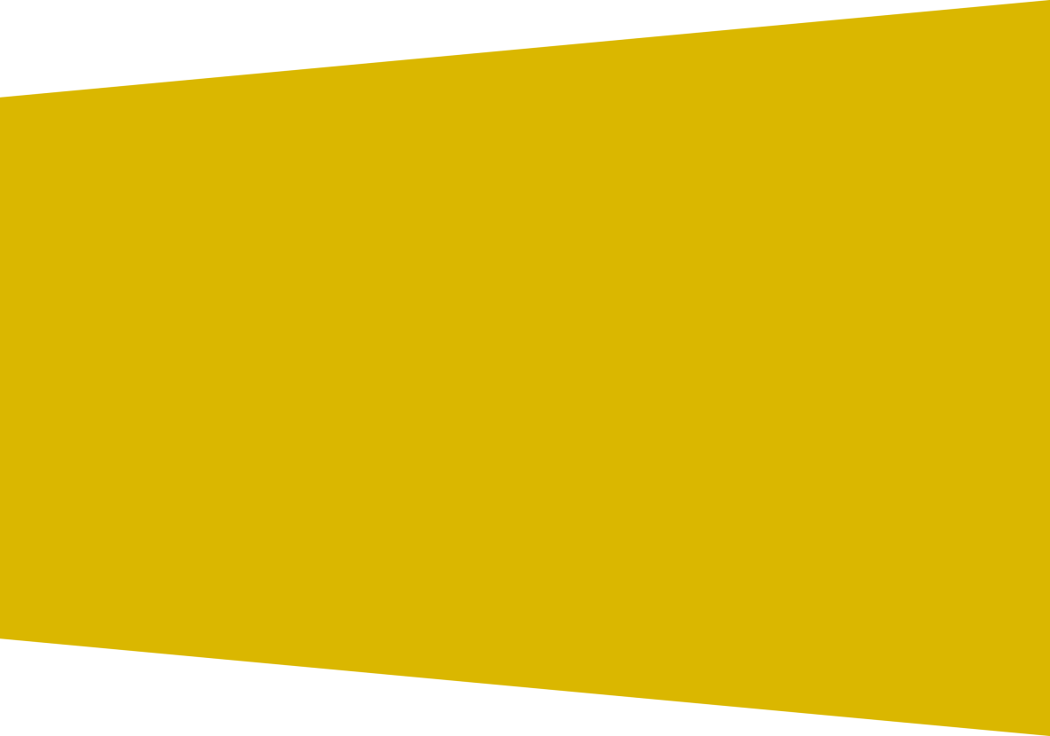 tekstvlak_grijs-bruin.png (copy)