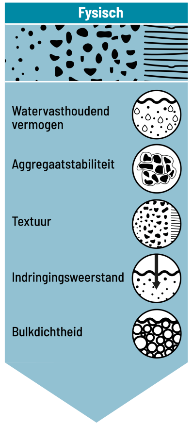 infographic_blok-1.png (copy)