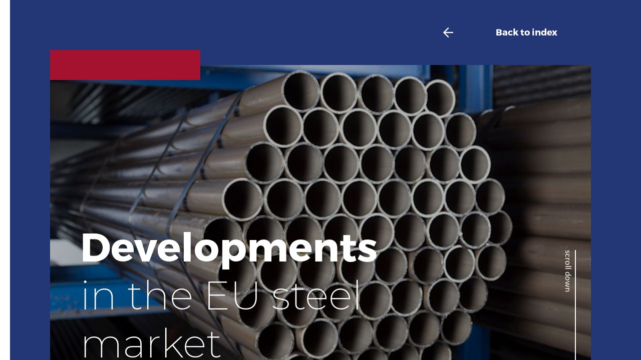 Developments in Europese staalmarkt - VL Connect March 2022 EN