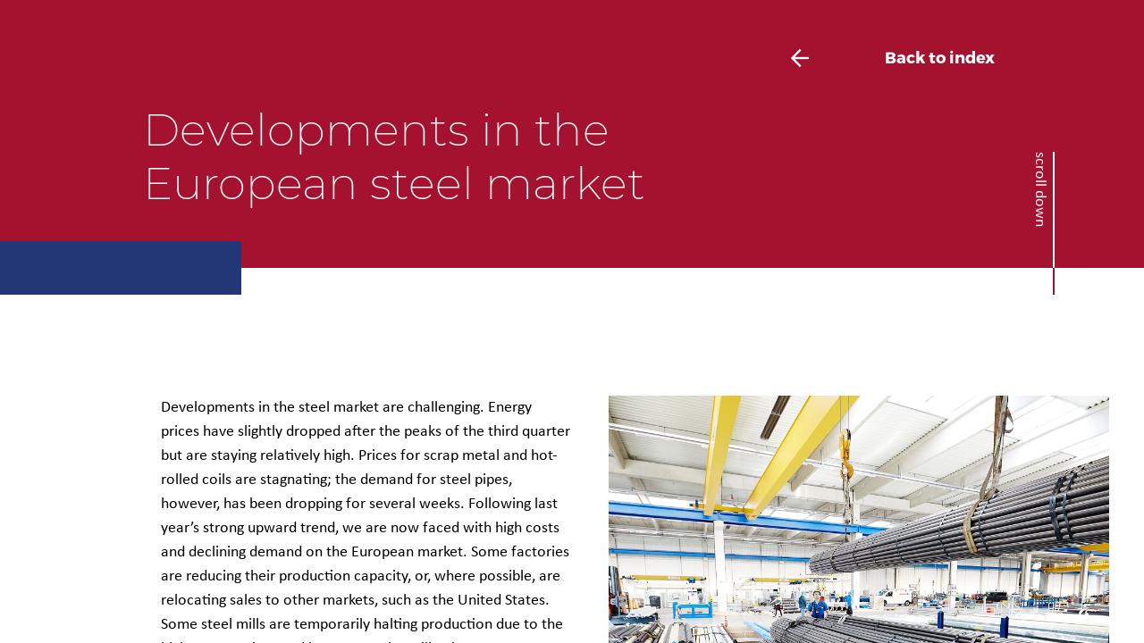 Developments in the European steel market - VL Connect November 2022