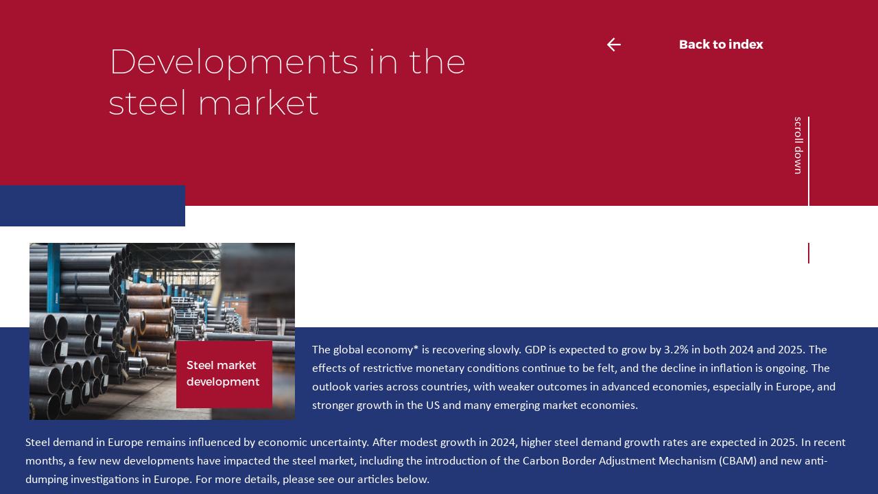 Developments in the steel market - VL Connect July 2024