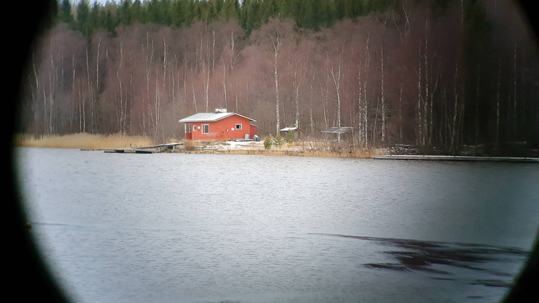 20201121_133150.jpg