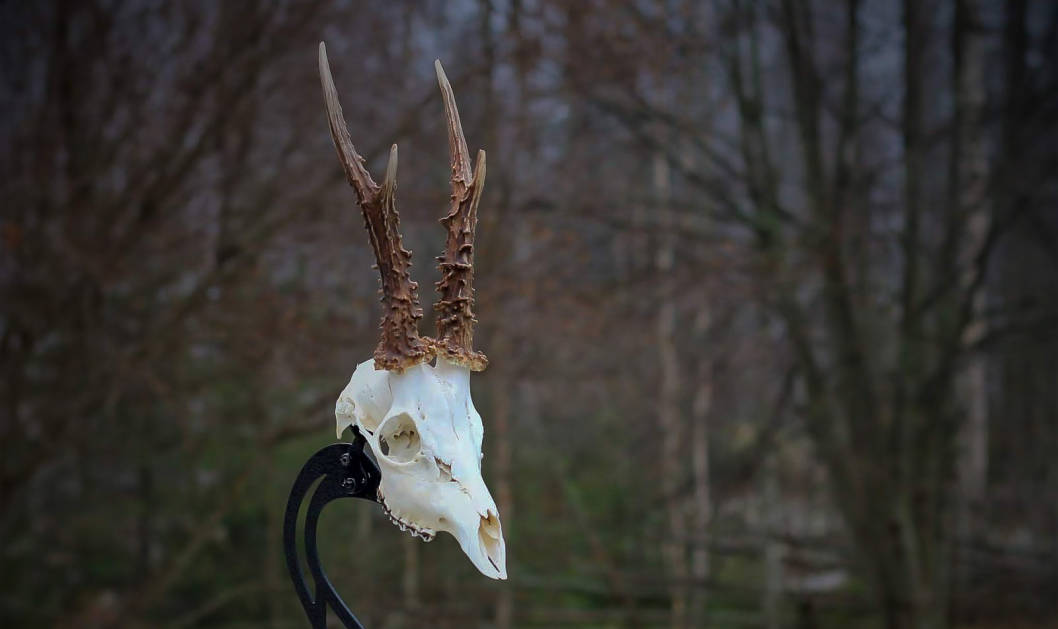 trofee.fi_skull_hooker_ja_trofeen_valmistus_4_.jpg