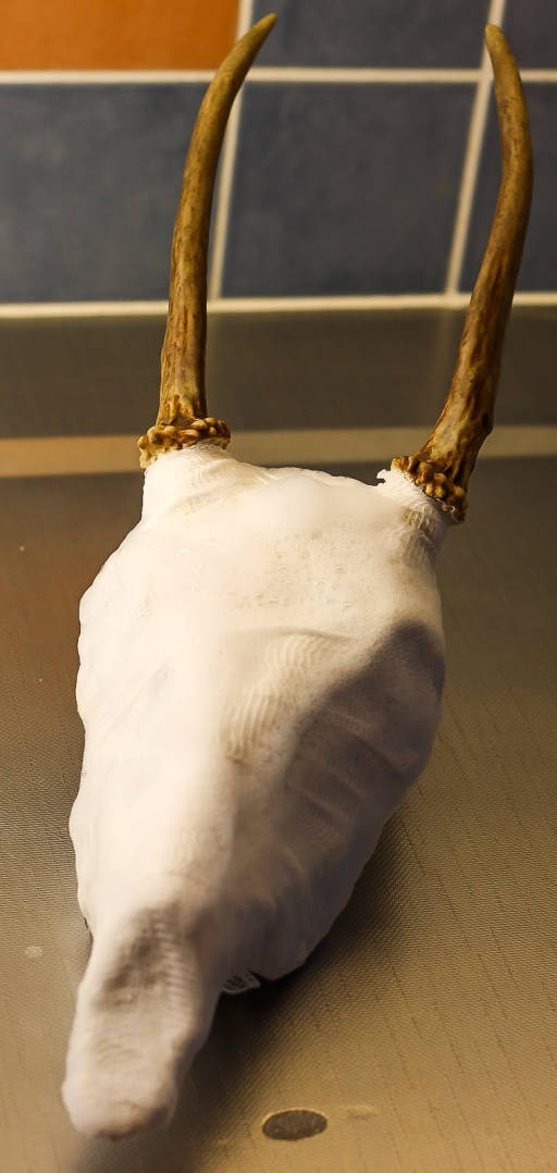 kallo-_ja_sarvitrofeen_valmistus_4.jpg