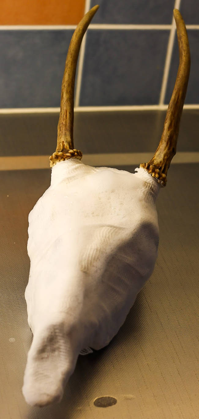 kallo-_ja_sarvitrofeen_valmistus_4.jpg