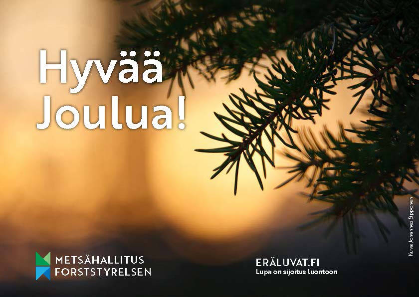 metsahallitus_lahjakortti.jpg