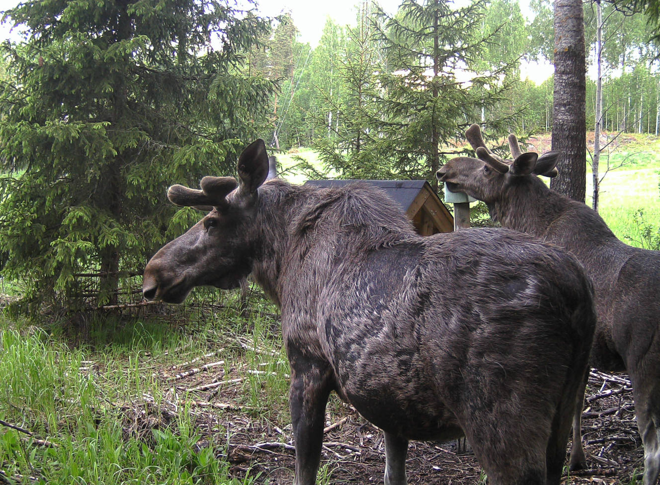 pict0745.jpg