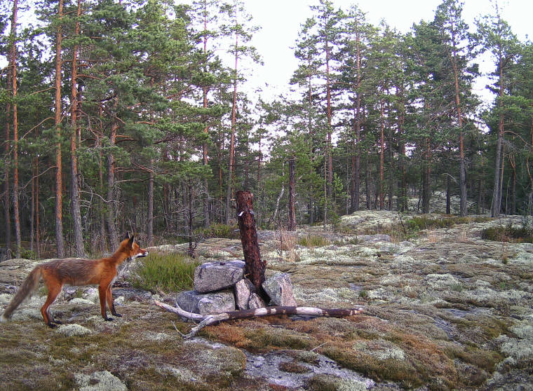 pict0101.jpg