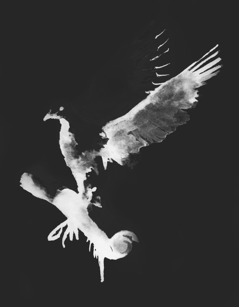 New image