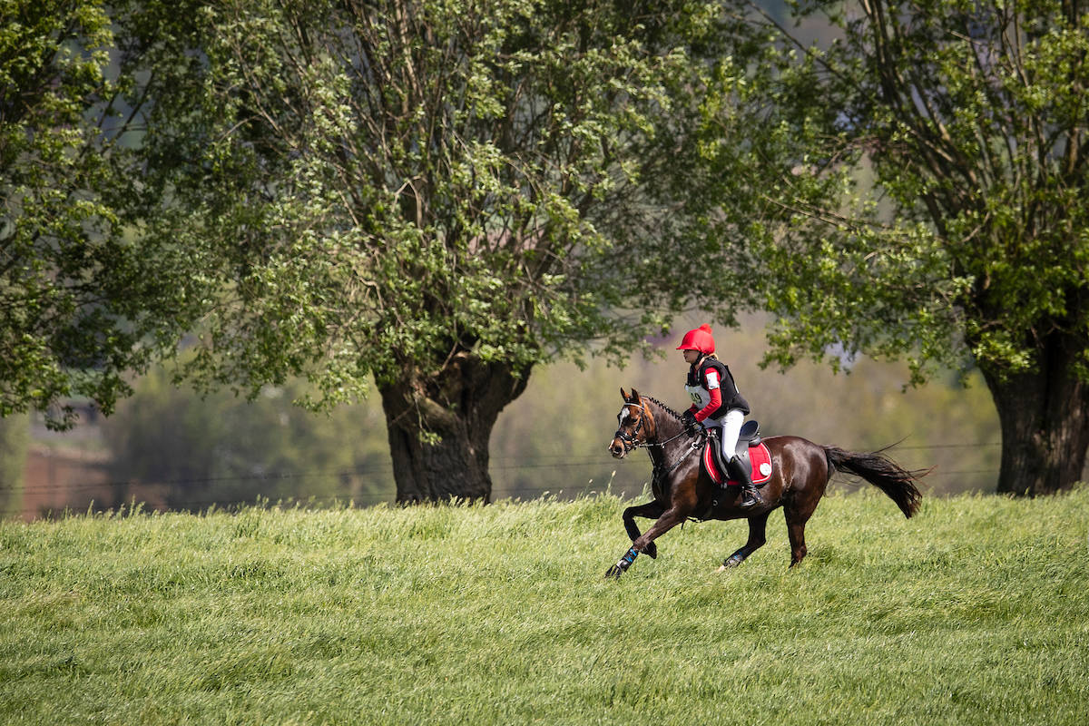 Nationale Finales Aveve Eventing Cup Lrv Nationaal Eventing En