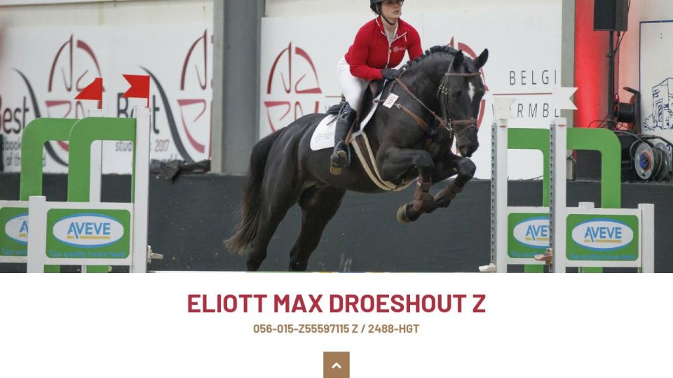 Eliott Max Droeshout Z Equitime Hengstenkeuring Engels