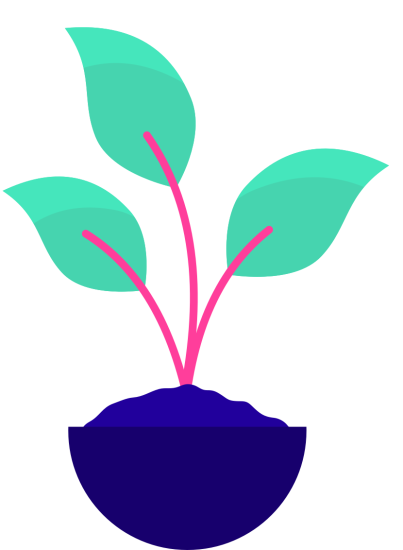 Een plant met drie bladeren die uit een donkere pot groeit, in frisse turquoise en roze tinten.